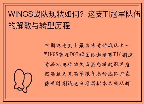 WINGS战队现状如何？这支TI冠军队伍的解散与转型历程
